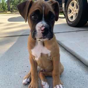 Meet your Posher, Ashley